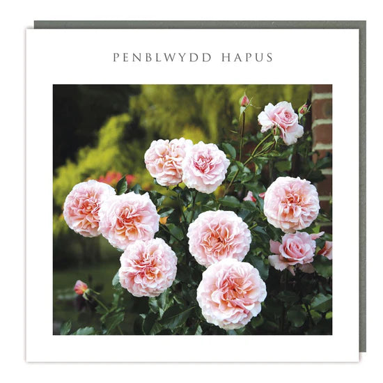 Tracks Publishing Penblwydd Hapus Beautiful Pink Flowers Blank Card