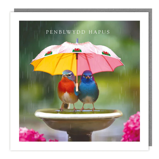 Tracks Publishing Penblwydd Hapus Birds with Umbrella Blank Card