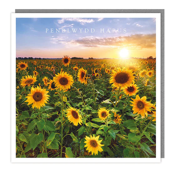 Tracks Publishing Penblwydd Hapus Botanical Sunflower Blank Card