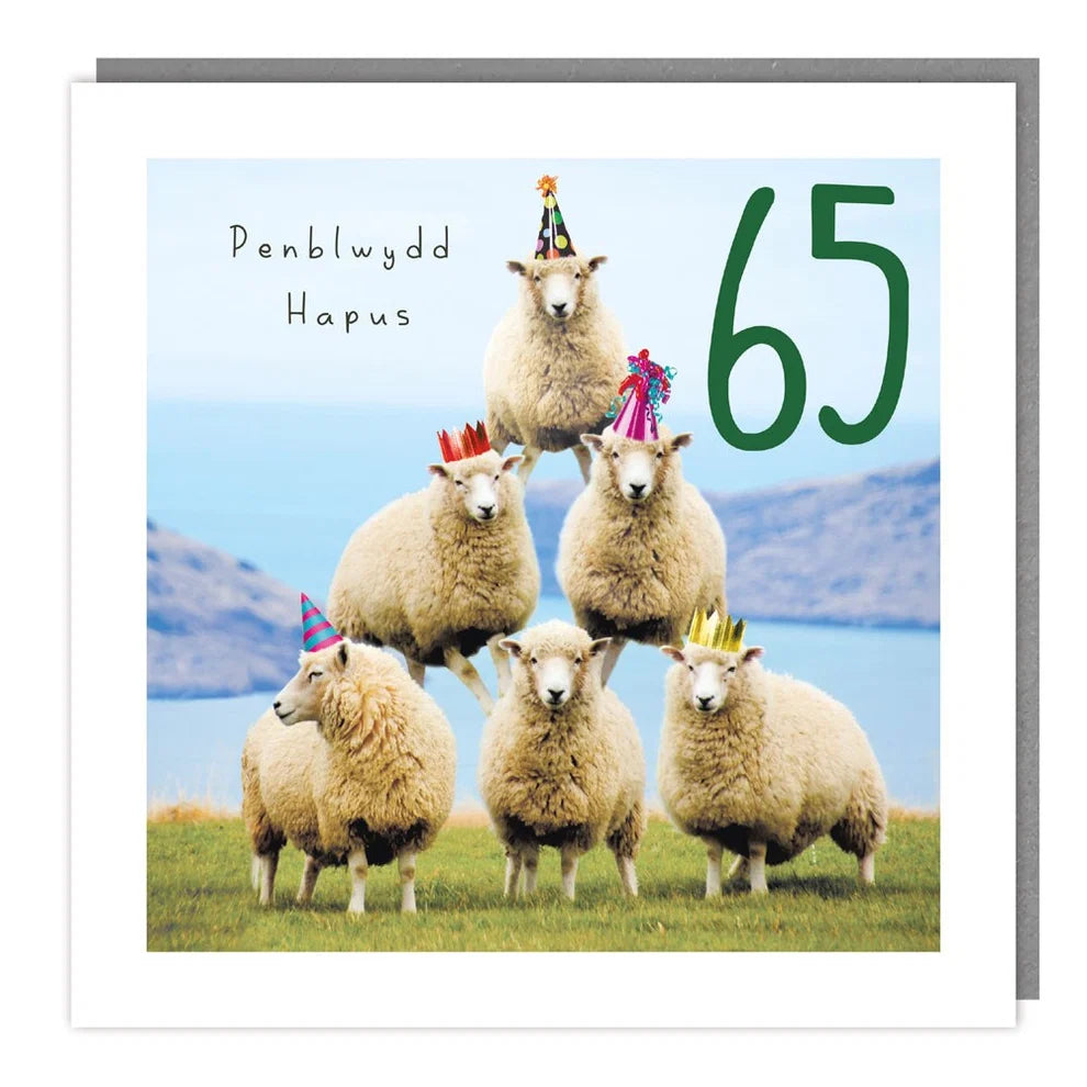 Tracks Publishing Penblwydd Hapus/Happy Birthday 65 Years Sheep Blank Card