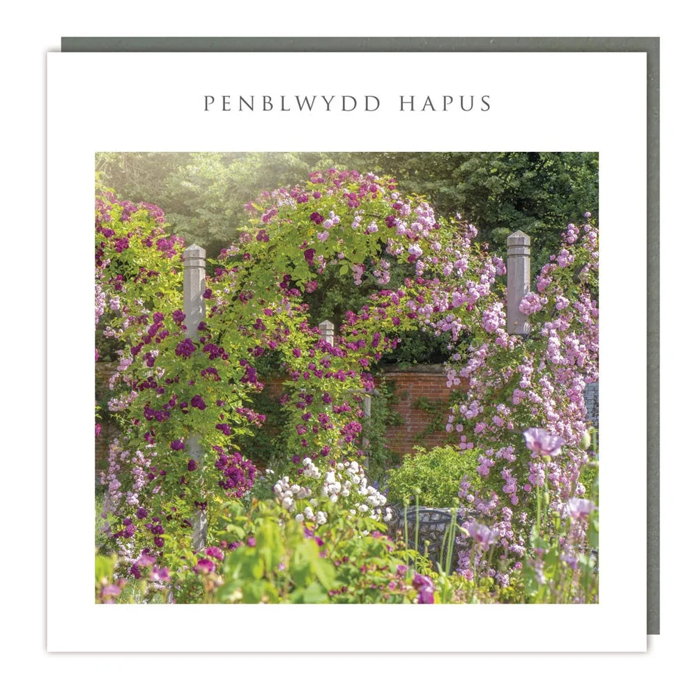 Tracks Publishing Penblwydd Hapus/Happy Birthday Floral Garden Blank Card