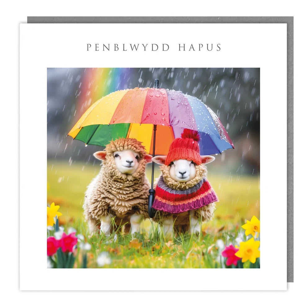 Tracks Publishing Penblwydd Hapus/Happy Birthday Woolly Sheep Blank Card