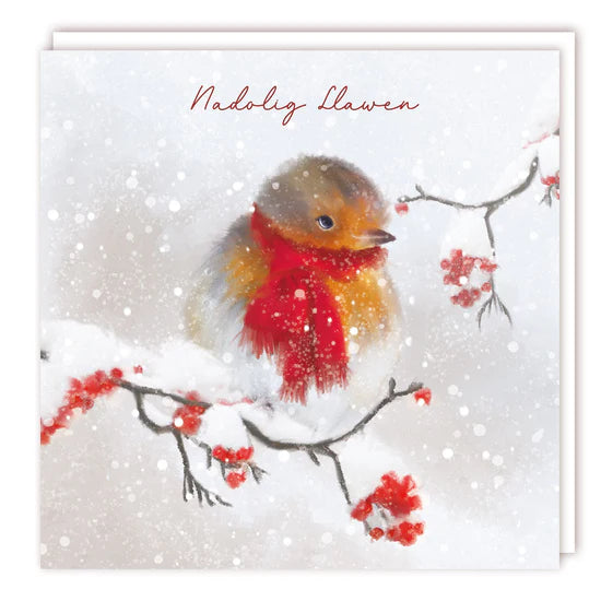 Tracks Publishing Robin in Scarf Christmas Charity Cards - (Pack of 5)