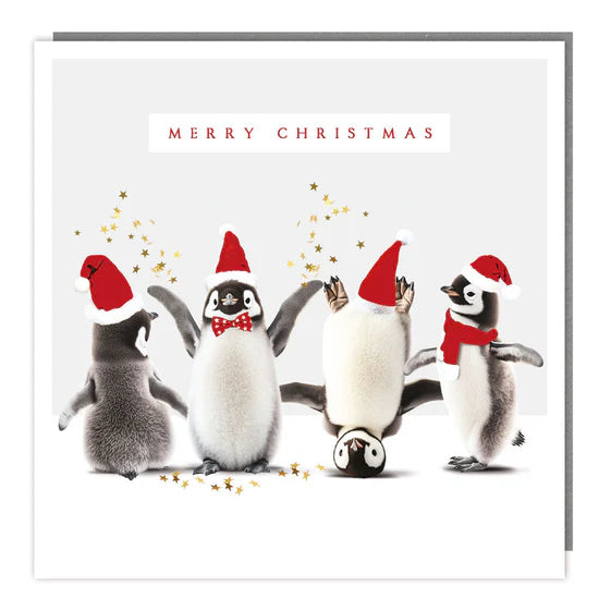 Tracks Publishing Silly Penguins Christmas Charity Cards - (Pack of 5)