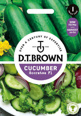 D.T. Brown 'Socrates F1' Cucumber Seeds