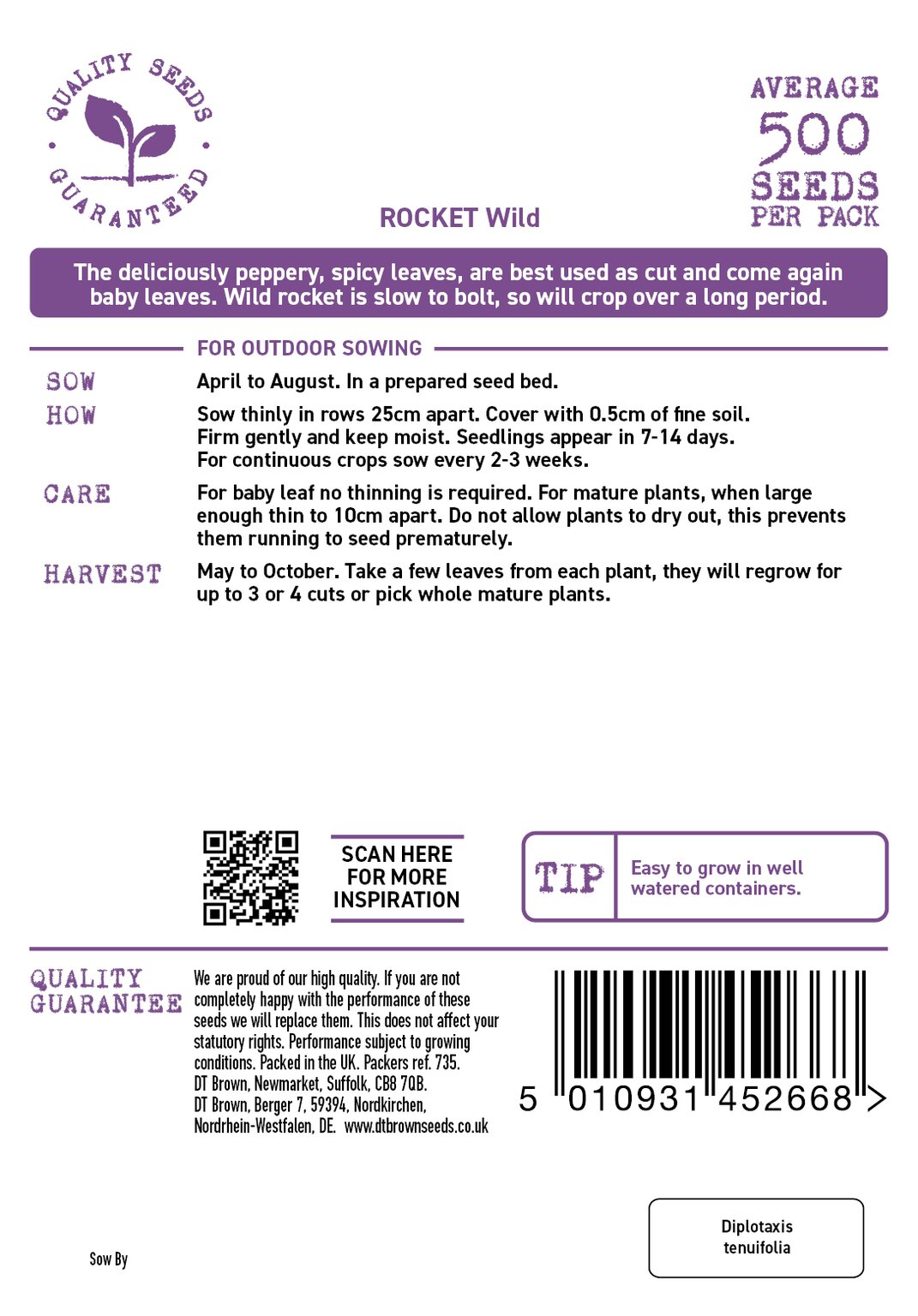 D.T. Brown 'Wild' Rocket Seeds