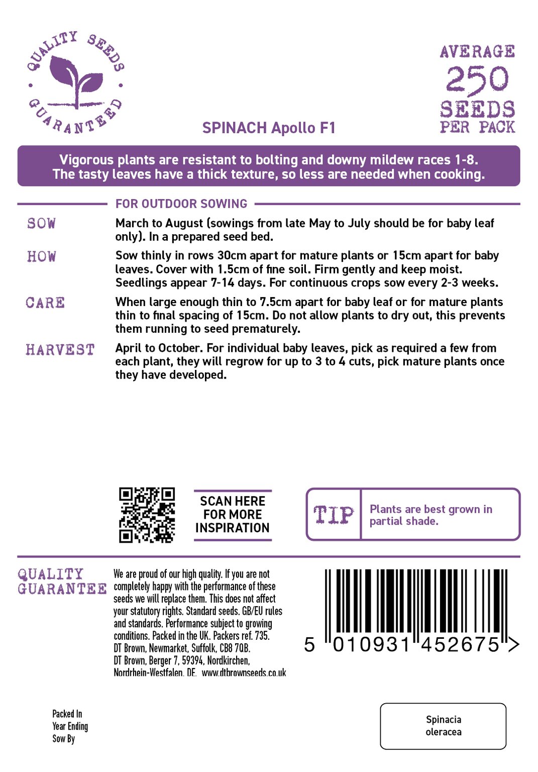 D.T. Brown 'Apollo' Spinach F1 Seeds