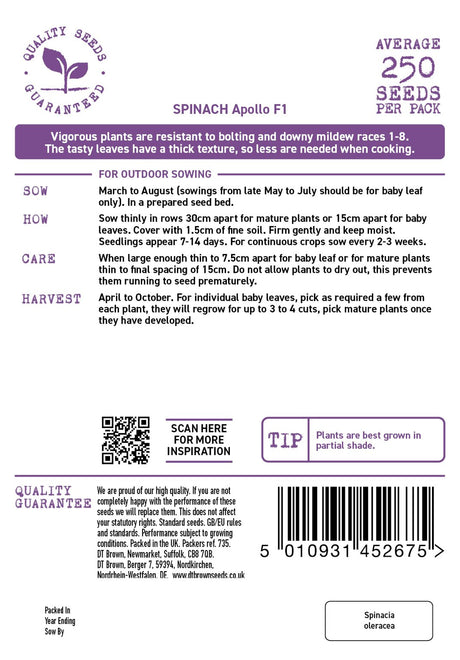 D.T. Brown 'Apollo' Spinach F1 Seeds