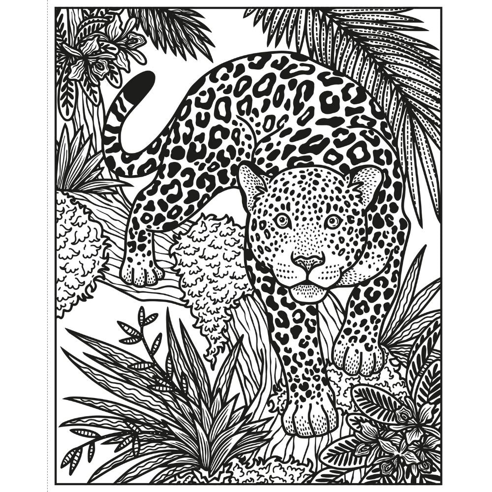 Usborne Wild Animals Magic Painting Activity Book