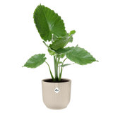 Elho 30cm Vibes Fold Round Plant Pot - White Linen