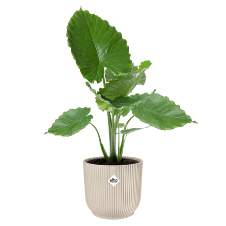Elho 30cm Vibes Fold Round Plant Pot - White Linen