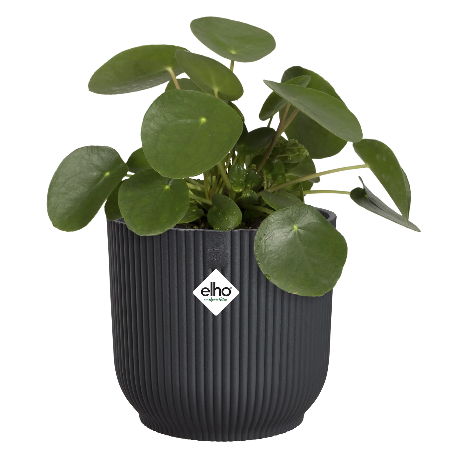 Elho 14cm Vibes Fold Coupe Plant Pot - Anthracite
