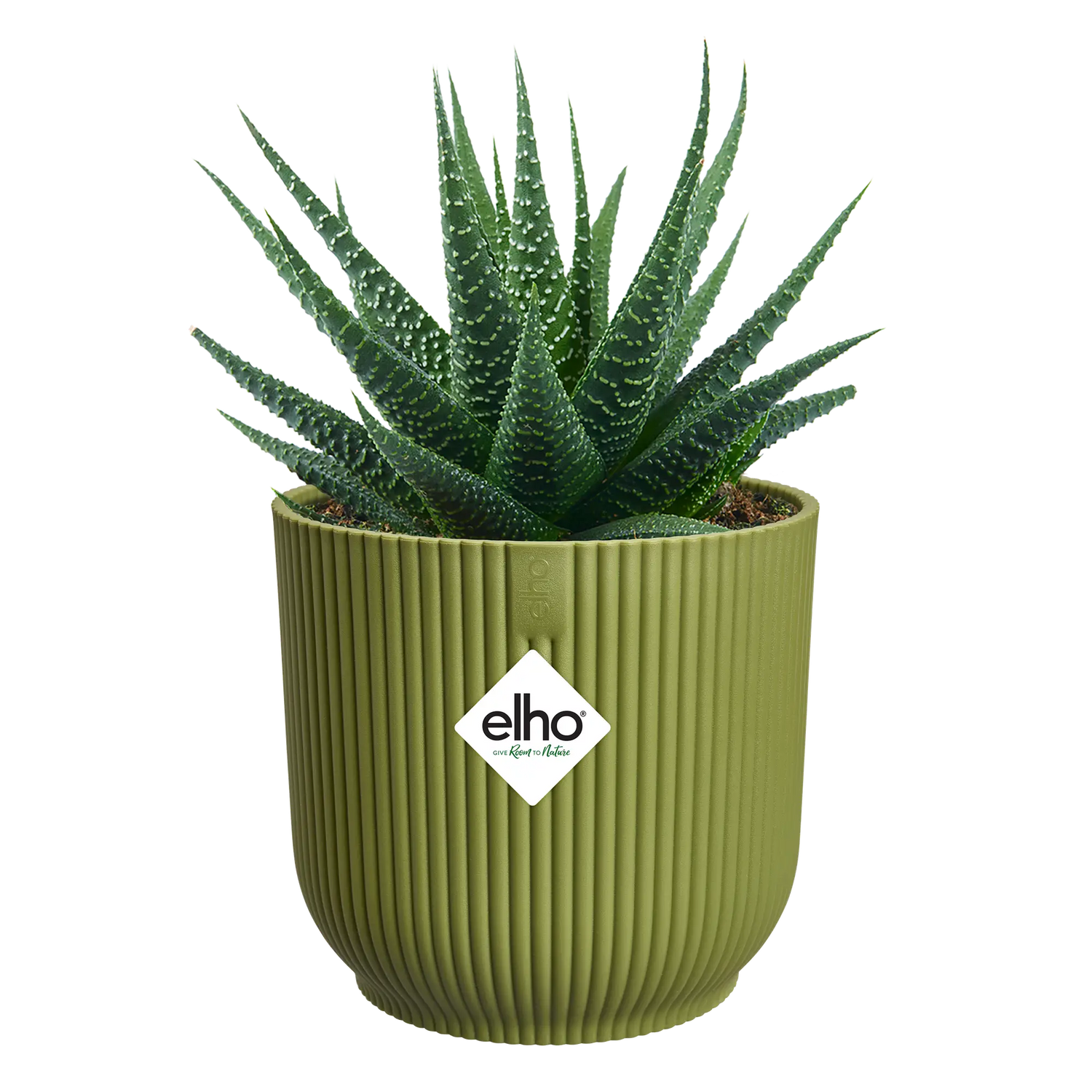 Elho 11cm Vibes Fold Round Mini Pot - Fern Green