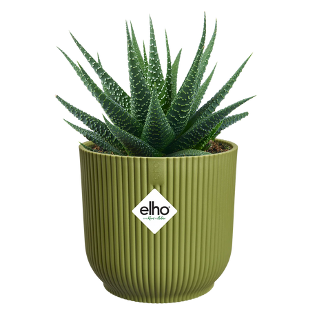 Elho 11cm Vibes Fold Round Mini Pot - Fern Green