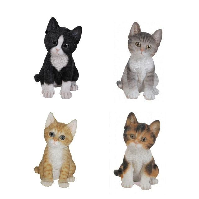 Vivid Arts 17cm Pet Pals Kitten (Colour Selected at Random) - Old Railway Line Garden Centre