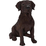 Vivid Arts 19cm Real Life Chocolate Labrador Dog Garden Ornament - Old Railway Line Garden Centre