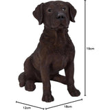 Vivid Arts 19cm Real Life Chocolate Labrador Dog Garden Ornament - Old Railway Line Garden Centre