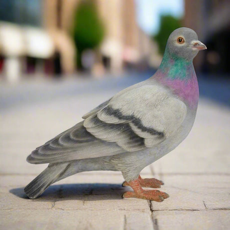 Vivid Arts 20cm Pigeon Garden Ornament - XRL - PGON - D - Old Railway Line Garden Centre