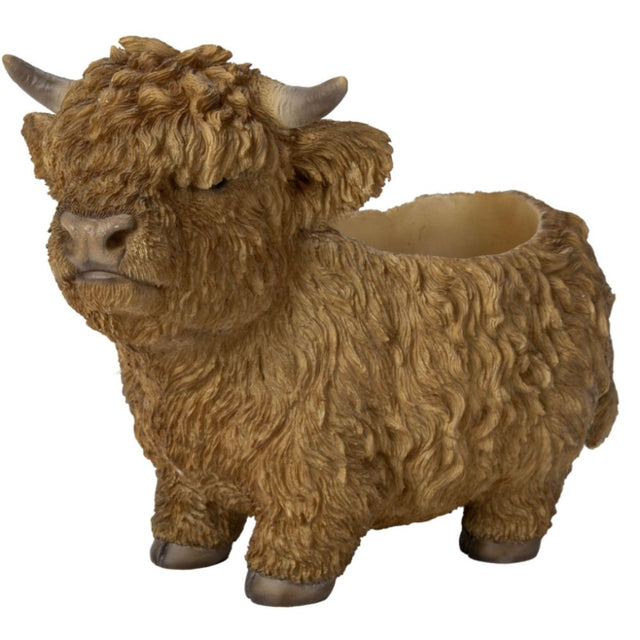 Vivid Arts 24cm Real Life Highland Cattle Cow Planter Garden Ornament - Old Railway Line Garden Centre