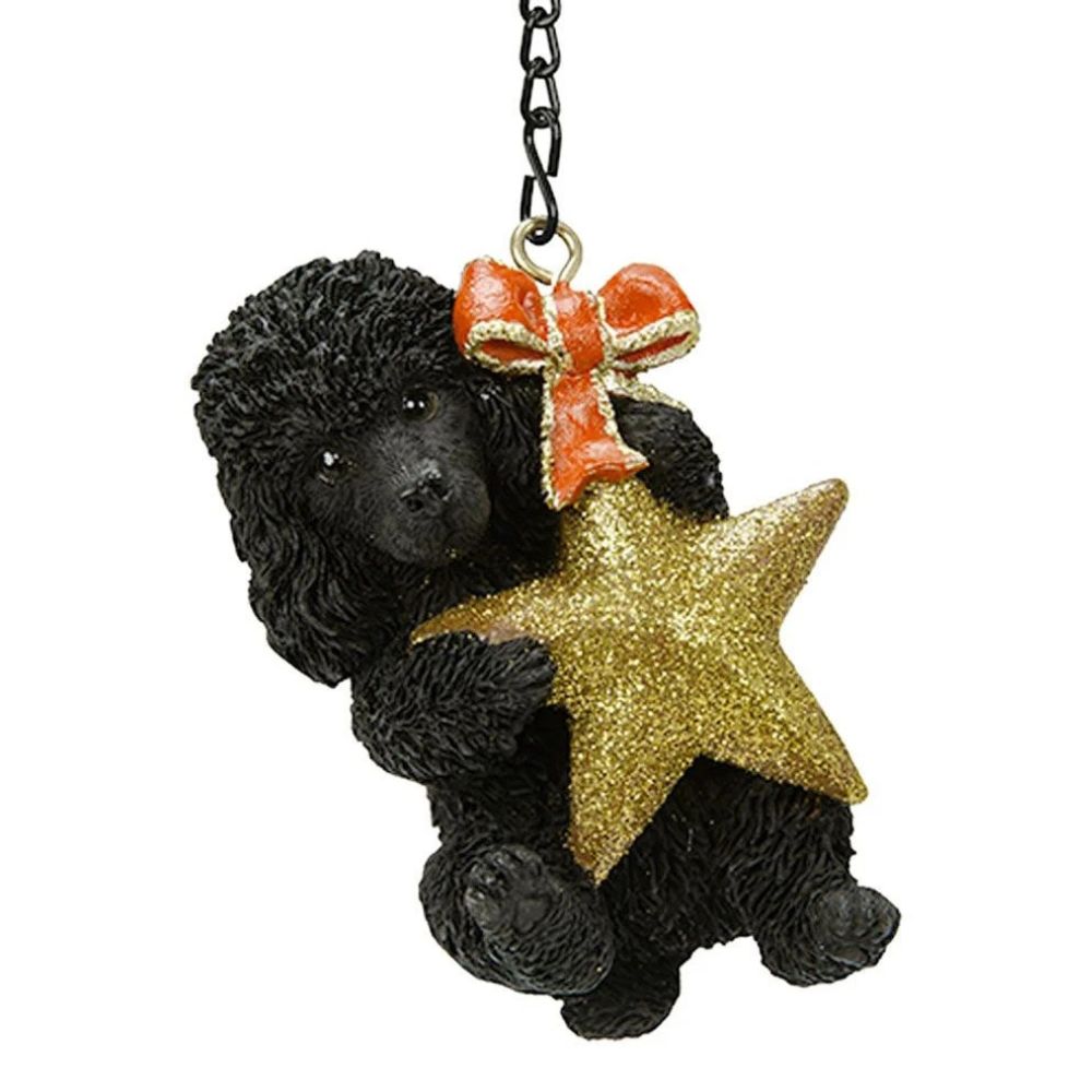 Vivid Arts 8cm Hanging Black Poodle with Star Pet Pal