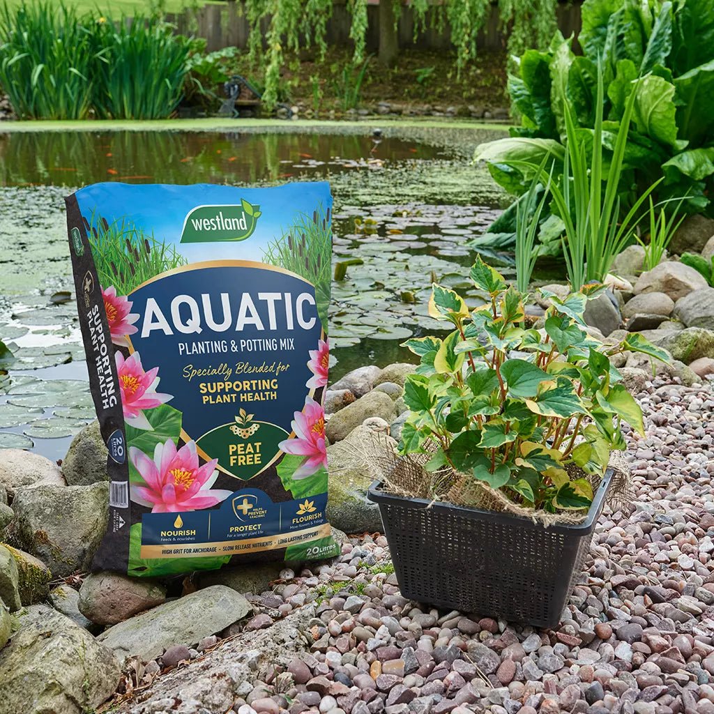 Westland 20L Peat Free Aquatic Compost - Old Railway Line Garden Centre