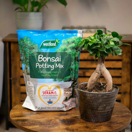 Westland 4L Peat Free Bonsai Potting Mix - Old Railway Line Garden Centre