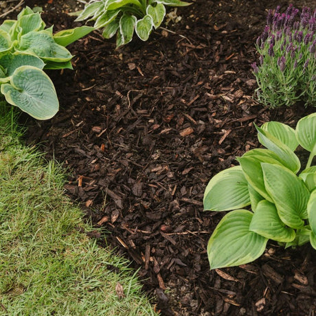 Westland 70Lt Decorative Mini Bark
