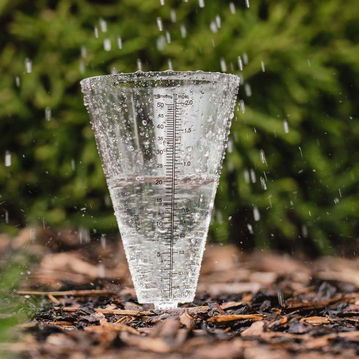 Westland Horticulture Gardman Rain Gauge - Old Railway Line Garden Centre