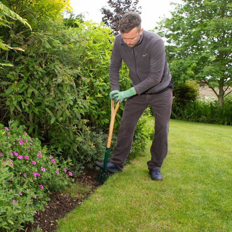 Wilkinson Sword 101cm D - Grip Carbon Steel Border Fork - Old Railway Line Garden Centre