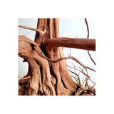 WIO - Rebel Wood - S - Root Aquarium Fish Tank Ornament Decor (15 to 30 cm) - Old Railway Line Garden Centre