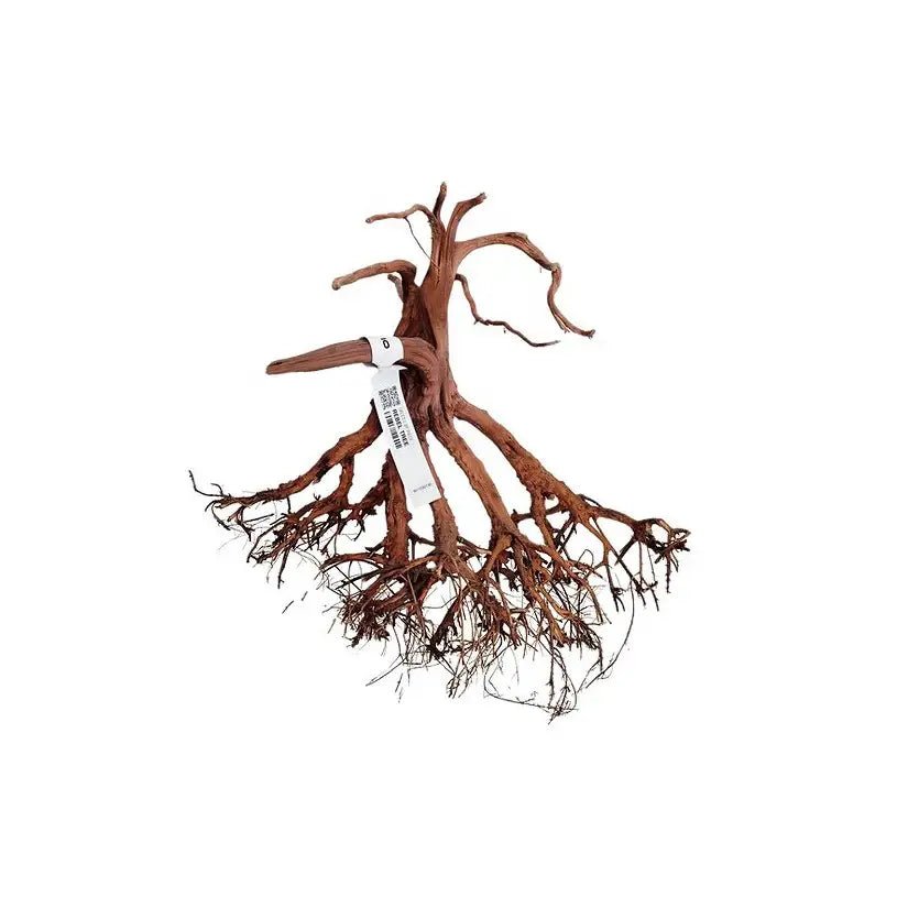 WIO - Rebel Wood - S - Root Aquarium Fish Tank Ornament Decor (15 to 30 cm) - Old Railway Line Garden Centre