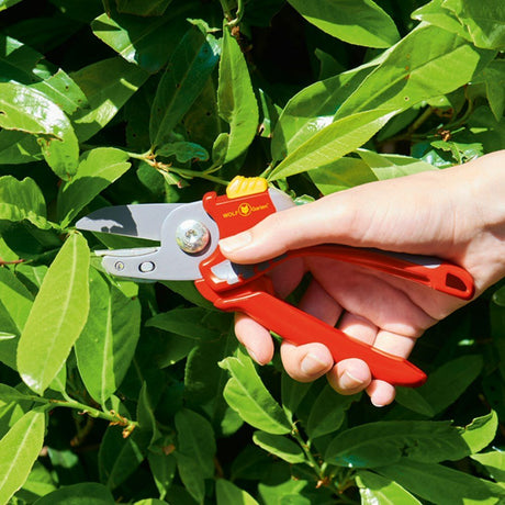 Wolf Garten Anvil Secateurs - RS2500 - Old Railway Line Garden Centre
