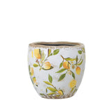 Woodlodge 13cm Lemon Indoor Pot