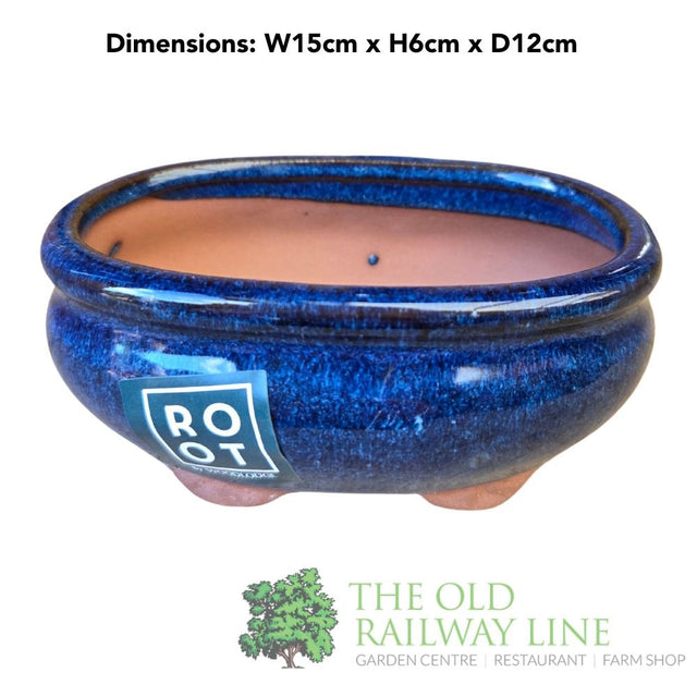 Woodlodge 15cm Blue Oval Bonsai Pot - YBONS3B15 - Old Railway Line Garden Centre