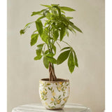 Woodlodge 15cm Lemon Indoor Pot - Old Railway Line Garden Centre