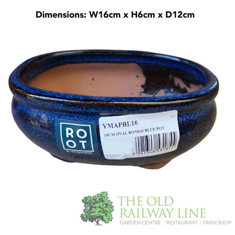 Woodlodge 16cm Blue Oval Bonsai Pot - YMAPBL16 - Old Railway Line Garden Centre