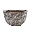 Woodlodge 20cm Brown Relic Ribbed Wall Pot - YWALREBR20 - Old Railway Line Garden Centre