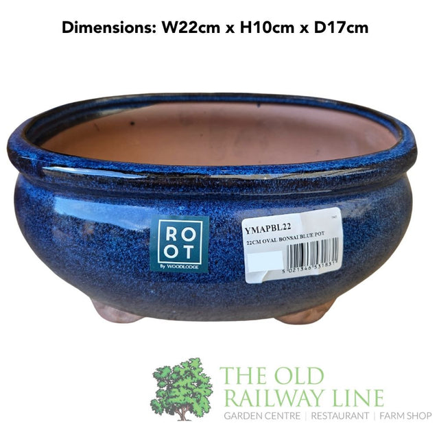 Woodlodge 22cm Blue Oval Bonsai Pot - YMAPBL22 - Old Railway Line Garden Centre