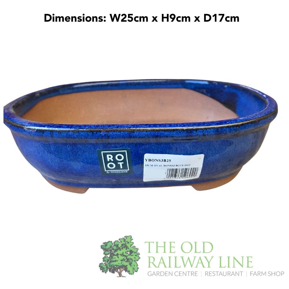 Woodlodge 25cm Blue Oval Bonsai Pot - YBONS3B25 - Old Railway Line Garden Centre