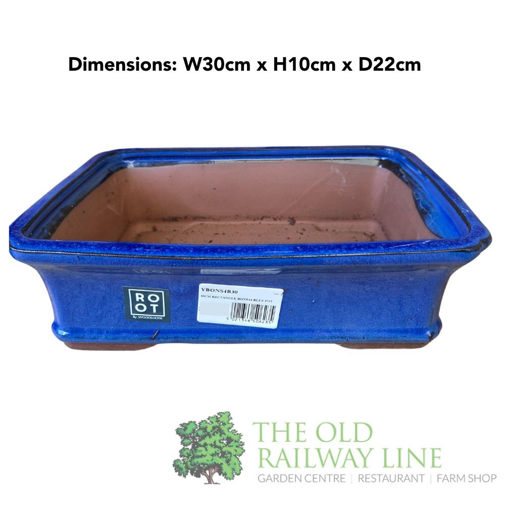 Woodlodge 30cm Blue Rectangle Bonsai Pot - YBONS4B30 - Old Railway Line Garden Centre