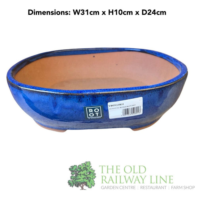 Woodlodge 31cm Blue Oval Bonsai Pot - YBONS3B31 - Old Railway Line Garden Centre