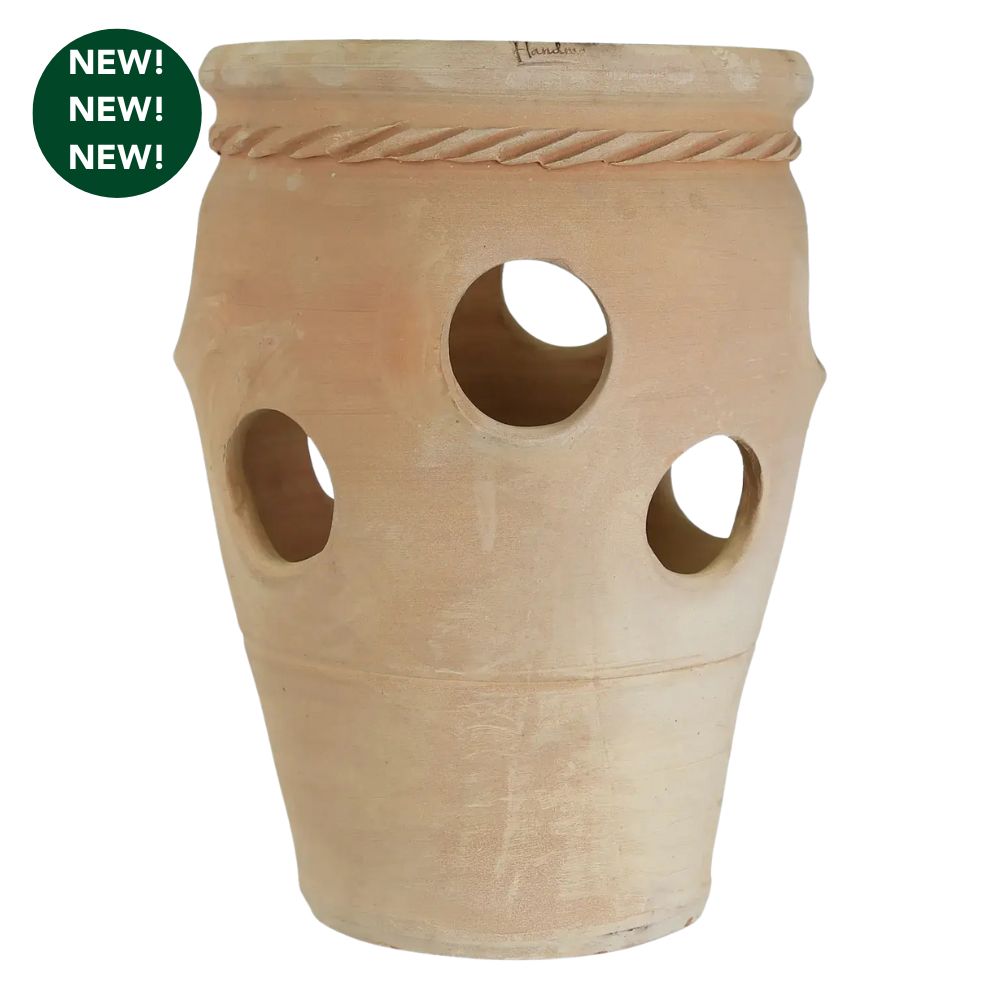 Woodlodge 35cm Strawberry Jar Planter