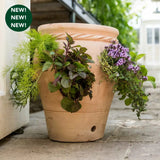 Woodlodge 35cm Strawberry Jar Planter