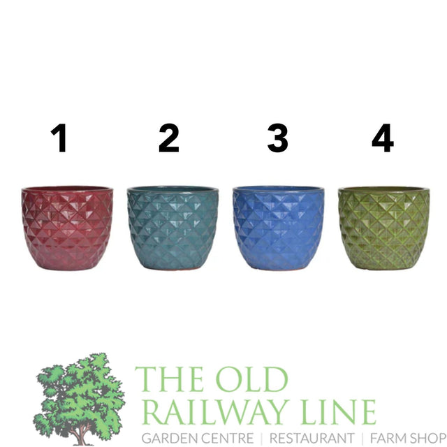 Woodlodge 37cm Evron Egg Glazed Pot (Choice of 4) - YEVRONEG37 - Old Railway Line Garden Centre