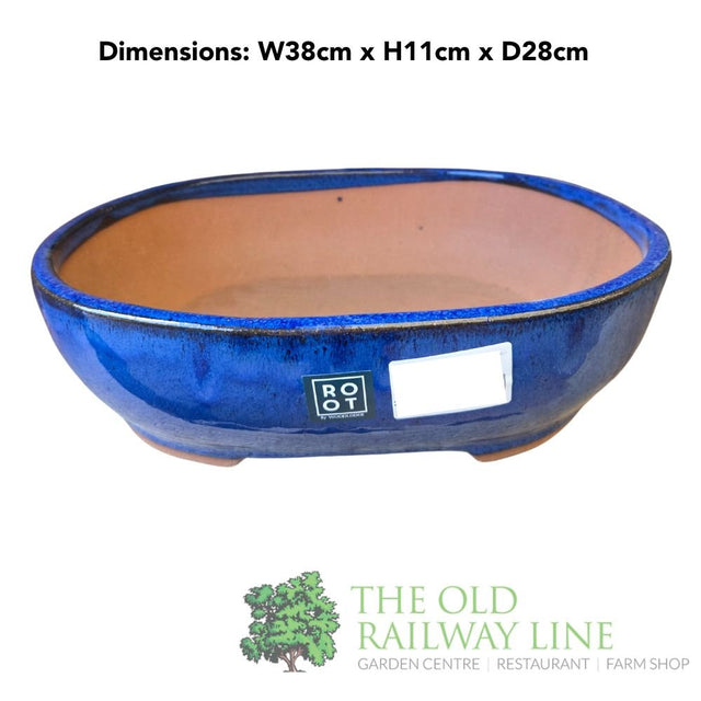 Woodlodge 38cm Blue Oval Bonsai Pot - YBONS3B38 - Old Railway Line Garden Centre