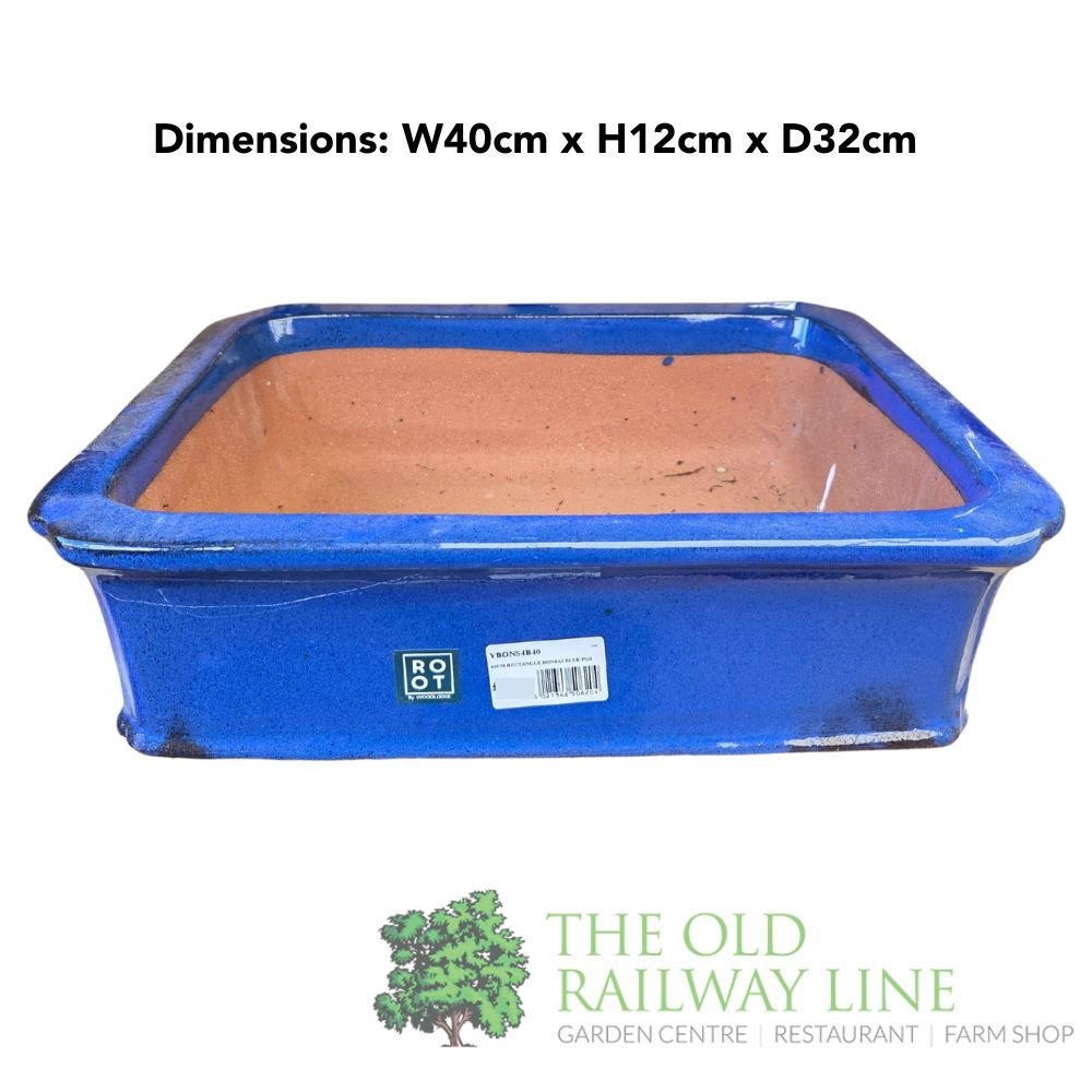 Woodlodge 40cm Blue Rectangle Bonsai Pot - YBONS4B40 - Old Railway Line Garden Centre