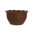 Woodlodge 44cm Thyme Pie Crust Top Thai Pot - Brown - Old Railway Line Garden Centre