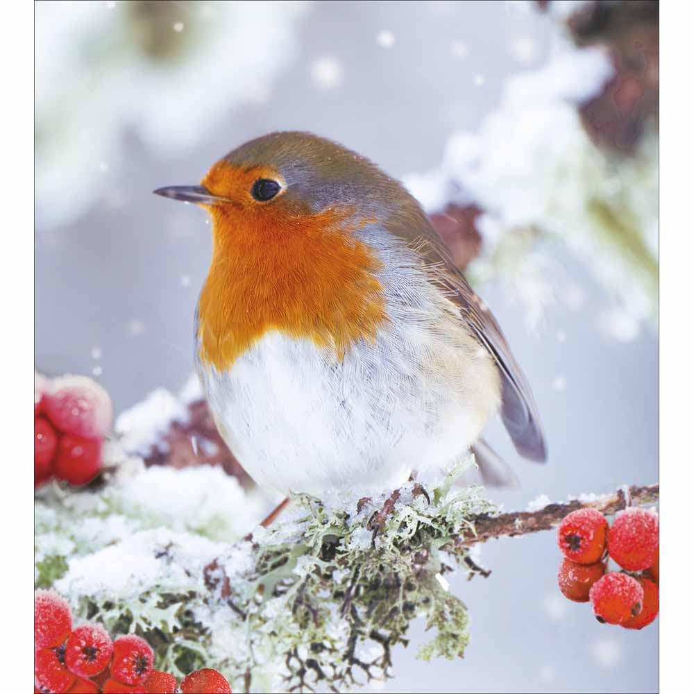 Woodmansterne A Sign from a Loved One Christmas Cards - Pack of 5