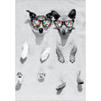 Woodmansterne Beach Dogs Funny Blank Card - Old Railway Line Garden Centre