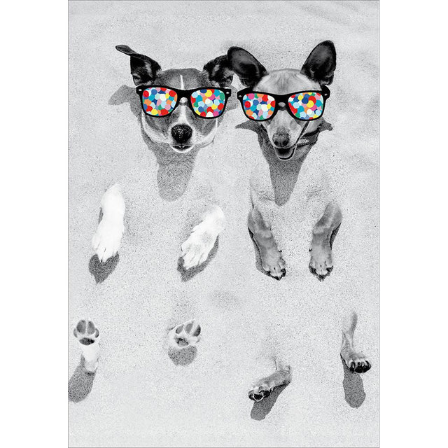 Woodmansterne Beach Dogs Funny Blank Card - Old Railway Line Garden Centre